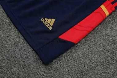 Conjunto de treino com colete Ajax 22-23, preto