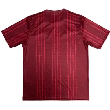 25-26 Arsenal Pre-Match Kit Cheap Football Jersey Wholesale Yupoo