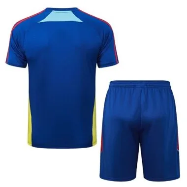 25-26 Arsenal Training Kits Tracksuits Cheap Football Jersey Wholesale Yupoo