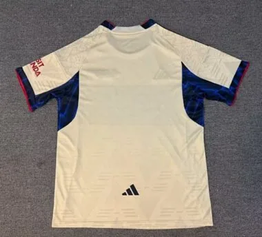 25-26 Arsenal Special Edition Kit S-4XL Cheap Football Jersey Wholesale Yupoo