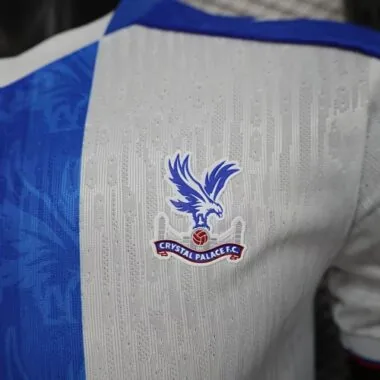 25-26 Player Crystal Palace Third Away Kit Cheap Football Jersey Wholesale Yupoo
