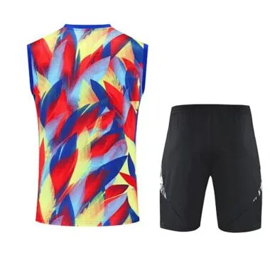 25-26 Arsenal Pre-Match Training Kits Football Vest Suits Cheap Football Jersey Wholesale Yupoo