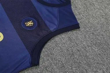 22-23 Chelsea vest training suit kit royal blue