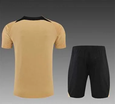 22-23 Chelsea Training Short Sleeve Kit Gold