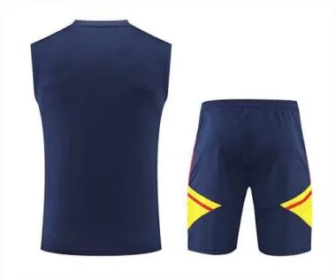 22-23 Arsenal vest training suit kit Royal Blue