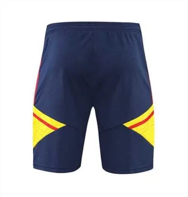 22-23 Arsenal vest training suit kit Royal Blue