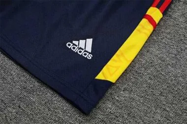 22-23 Arsenal vest training suit kit Royal Blue