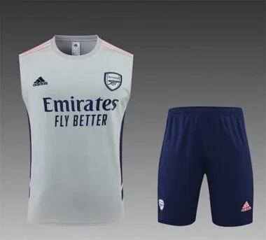 22-23 Arsenal vest training suit kit Grey