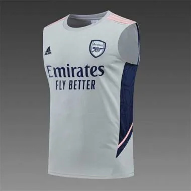 22-23 Arsenal vest training suit kit Grey