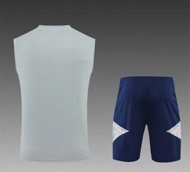 22-23 Arsenal vest training suit kit Grey
