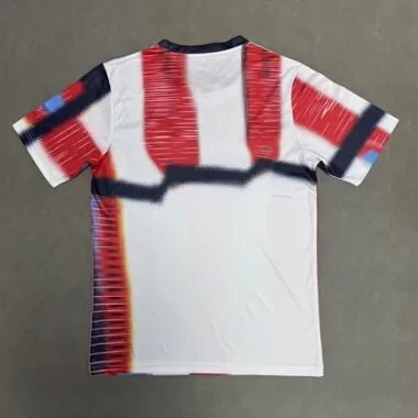 25-26 Bayern Training Pre-Match Kit S-4XL Cheap Football Jersey Wholesale Yupoo
