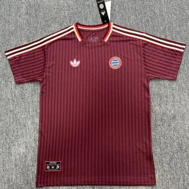 25-26 Bayern Terrace Icons Special Edition S-4XL Cheap Football Jersey Wholesale Yupoo