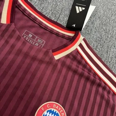 25-26 Bayern Terrace Icons Special Edition S-4XL Cheap Football Jersey Wholesale Yupoo