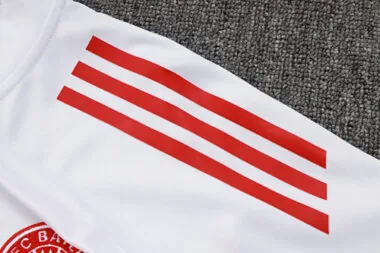25-26 Bayern Training Kits Tracksuits Sweatshirt Cheap Jersey Wholesale Yupoo