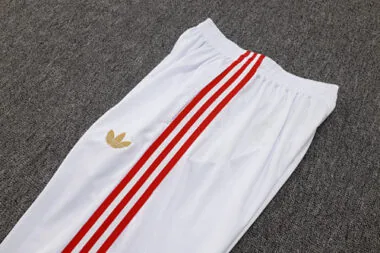 25-26 Bayern Training Kits Tracksuits Sweatshirt Cheap Jersey Wholesale Yupoo