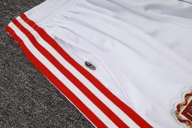 25-26 Bayern Training Kits Tracksuits Sweatshirt Cheap Jersey Wholesale Yupoo