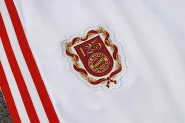 25-26 Bayern Training Kits Tracksuits Sweatshirt Cheap Jersey Wholesale Yupoo