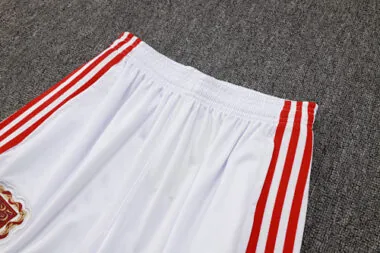 25-26 Bayern Training Kits Tracksuits Sweatshirt Cheap Jersey Wholesale Yupoo