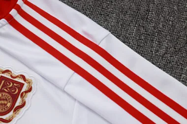 25-26 Bayern Training Kits Tracksuits Sweatshirt Cheap Jersey Wholesale Yupoo