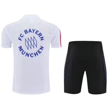 25-26 Bayern Munich OG White Training Kits Tracksuits Cheap Football Jersey Wholesale Yupoo