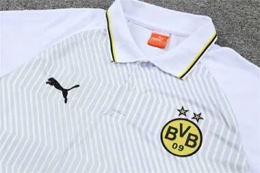 Polo Dortmund grey and white stripes