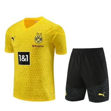 23-24 Dortmund Training Soccer Jerseys Yupoo(1)