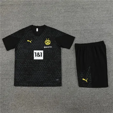 2023/24 Dortmund Training Soccer Jerseys