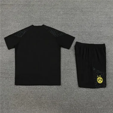 2023/24 Dortmund Training Soccer Jerseys
