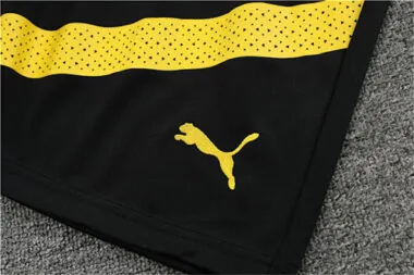 22-23 Dortmund training suit gray
