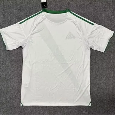 25-26 Al Ahli Saudi Home Kit S-4XL Cheap Football Jersey Wholesale Yupoo