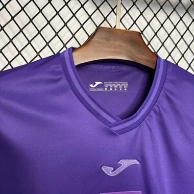 24-25 RSC Anderlecht Home Kit Soccer Apparels
