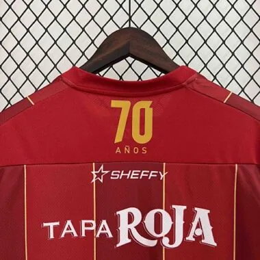 24-25 Tolima Home Kit