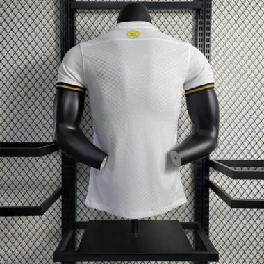AIK Sonina 132nd Anniversary Edition player version