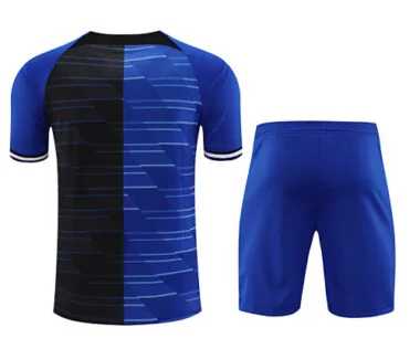 23-24 Inter Milan Short Sleeve Kits Blue&amp;Black Training Suits