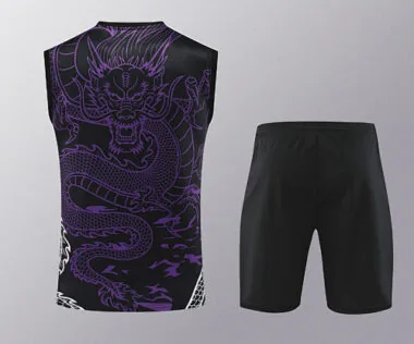 2024/25 Real Madrid Purple Dragon Training Vest Kits(Top+Shorts)