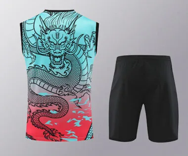 24-25 Real Madrid Dragon Training Vest Kits(Top+Shorts)