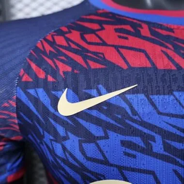 25-26 Player Barcelona Special Edition Kit S-2XL Cheap Football Jersey Wholesale Yupoo