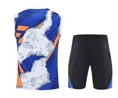 25-26 Real Madrid Beige&Viola Training Kits Vest Suits Cheap Football Jersey Wholesale Yupoo