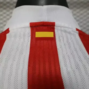 25-26 Players Atletico Madrid Away Long Sleeve Kit Cheap Football Jersey Wholesale Yupoo