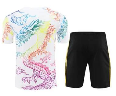24-25 Real Madrid Training Soccer Jerseys Yupoo