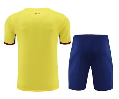 23-24 Barcelona Training Soccer Jerseys Yupoo(8)