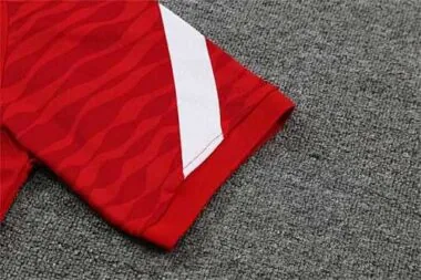 Barcelona Polo red