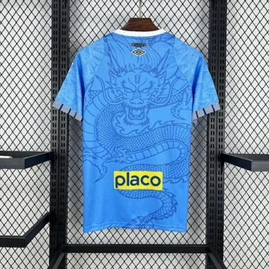 25-26 Santos Special Edition S-XXL Cheap Football Jersey Wholesale Yupoo