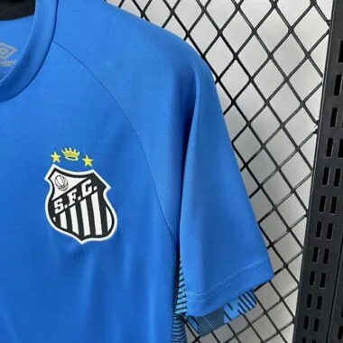 25-26 Porto Blue Goalkeeper S-4XL Cheap Football Jersey Wholesale Yupoo