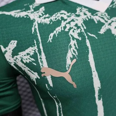 25-26 Player Palmeiras Special Edition S-XXL