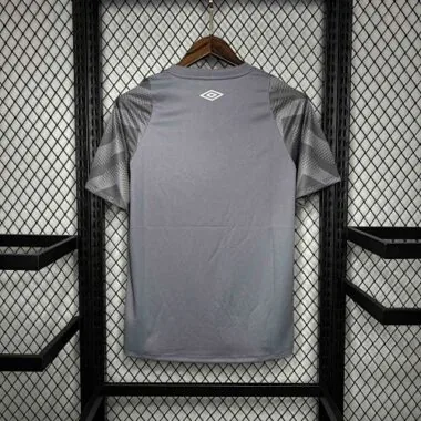 Equipación de entrenamiento gris del Santos 24-25: ropa de fútbol