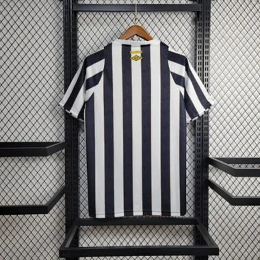 Equipación visitante del Santos 24-25