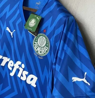 24-25 Palmeiras Goalkeeper Blue Kit Football Replicas Yupoo