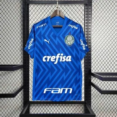 24-25 Palmeiras Goalkeeper Blue Kit Football Replicas Yupoo