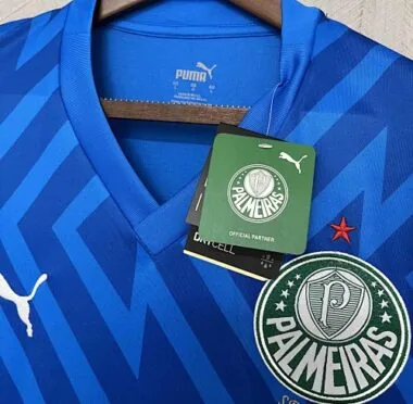 24-25 Palmeiras Goalkeeper Blue Kit Football Replicas Yupoo